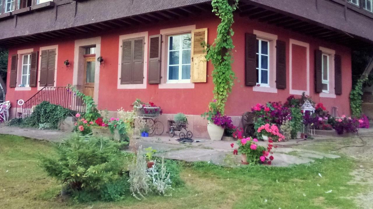 Gite "Cadichon" Munster  Exteriör bild