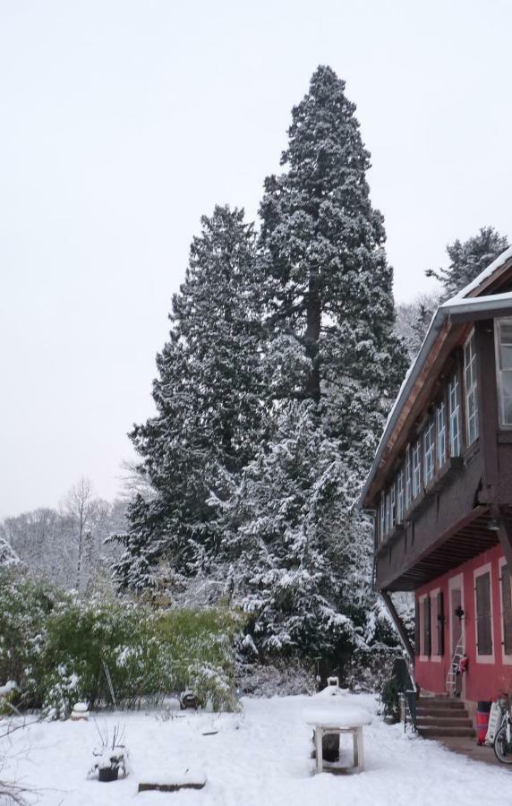 Gite "Cadichon" Munster  Exteriör bild