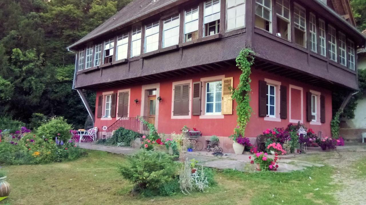 Gite "Cadichon" Munster  Exteriör bild