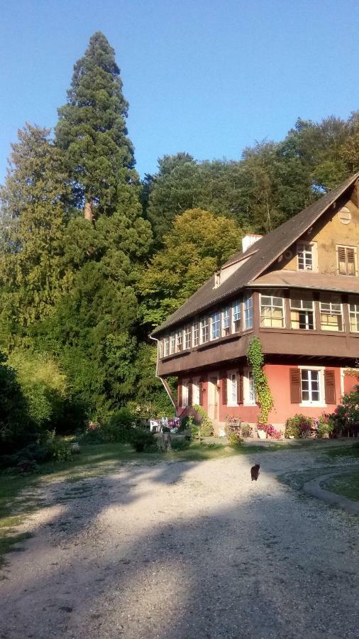 Gite "Cadichon" Munster  Exteriör bild